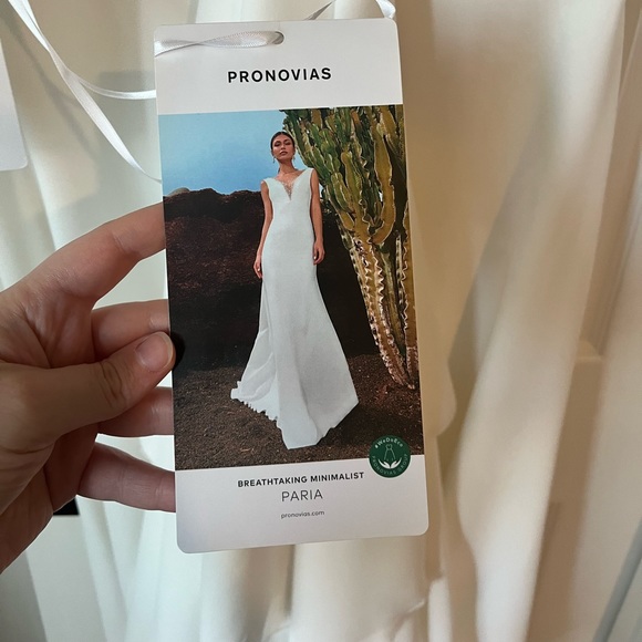 PRONOVIAS Wedding Dress “PARIA” Size 12 - Picture 5 of 17